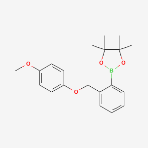 molecular formula C20H25BO4 B8085604 2-(2-((4-Methoxyphenoxy)methyl)phenyl)-4,4,5,5-tetramethyl-1,3,2-dioxaborolane 