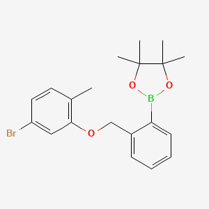 molecular formula C20H24BBrO3 B8085663 2-(2-((5-Bromo-2-methylphenoxy)methyl)phenyl)-4,4,5,5-tetramethyl-1,3,2-dioxaborolane 