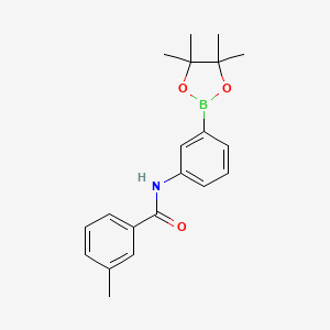molecular formula C20H24BNO3 B8085690 3-methyl-N-(3-(4,4,5,5-tetramethyl-1,3,2-dioxaborolan-2-yl)phenyl)benzamide 
