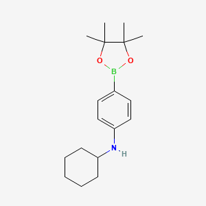 molecular formula C18H28BNO2 B8085717 N-cyclohexyl-4-(4,4,5,5-tetramethyl-1,3,2-dioxaborolan-2-yl)aniline 