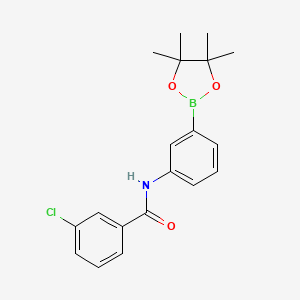 molecular formula C19H21BClNO3 B8085726 3-chloro-N-(3-(4,4,5,5-tetramethyl-1,3,2-dioxaborolan-2-yl)phenyl)benzamide 
