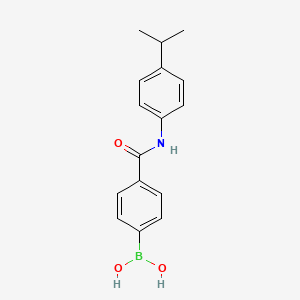 molecular formula C16H18BNO3 B8085764 B-[4-[[[4-(1-methylethyl)phenyl]amino]carbonyl]phenyl]Boronic acid 