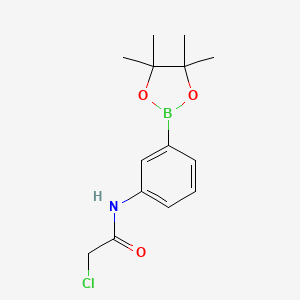 2-chloro-N-(3-(4,4,5,5-tetramethyl-1,3,2-dioxaborolan-2-yl)phenyl)acetamide