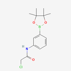 molecular formula C14H19BClNO3 B8085799 2-chloro-N-(3-(4,4,5,5-tetramethyl-1,3,2-dioxaborolan-2-yl)phenyl)acetamide 