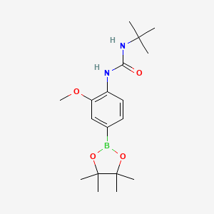 molecular formula C18H29BN2O4 B8085840 1-(Tert-butyl)-3-(2-methoxy-4-(4,4,5,5-tetramethyl-1,3,2-dioxaborolan-2-yl)phenyl)urea 