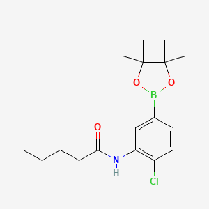 molecular formula C17H25BClNO3 B8085875 N-(2-chloro-5-(4,4,5,5-tetramethyl-1,3,2-dioxaborolan-2-yl)phenyl)pentanamide 