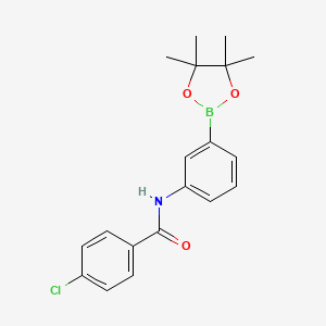 molecular formula C19H21BClNO3 B8085901 4-chloro-N-(3-(4,4,5,5-tetramethyl-1,3,2-dioxaborolan-2-yl)phenyl)benzamide 