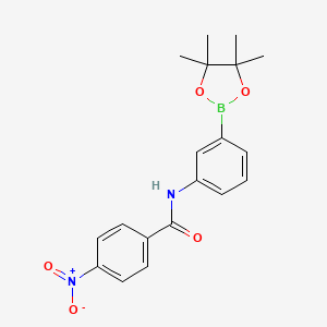molecular formula C19H21BN2O5 B8085907 4-硝基-N-(3-(4,4,5,5-四甲基-1,3,2-二氧杂硼环-2-基)苯基)苯甲酰胺 