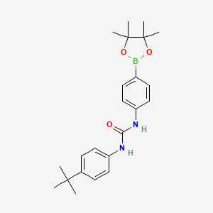 molecular formula C23H31BN2O3 B8085965 Urea, N-[4-(1,1-dimethylethyl)phenyl]-N'-[4-(4,4,5,5-tetramethyl-1,3,2-dioxaborolan-2-yl)phenyl]- 