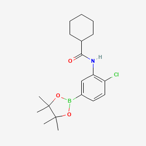 molecular formula C19H27BClNO3 B8085991 N-(2-chloro-5-(4,4,5,5-tetramethyl-1,3,2-dioxaborolan-2-yl)phenyl)cyclohexanecarboxamide 