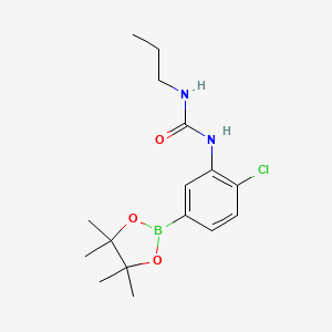 molecular formula C16H24BClN2O3 B8086312 1-[2-Chloro-5-(tetramethyl-1,3,2-dioxaborolan-2-yl)phenyl]-3-propylurea 