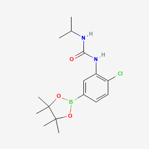 molecular formula C16H24BClN2O3 B8086314 1-[2-Chloro-5-(tetramethyl-1,3,2-dioxaborolan-2-yl)phenyl]-3-(propan-2-yl)urea 