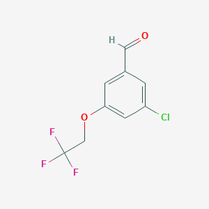 molecular formula C9H6ClF3O2 B8086524 3-Chloro-5-trifluoroethoxybenzaldehyde 
