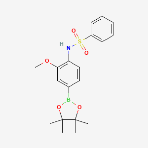 molecular formula C19H24BNO5S B8086631 N-(2-methoxy-4-(4,4,5,5-tetramethyl-1,3,2-dioxaborolan-2-yl)phenyl)benzenesulfonamide 