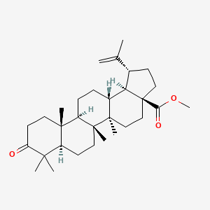 molecular formula C31H48O3 B8086979 Methyl betulonate 