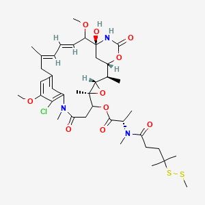 molecular formula C39H56ClN3O10S2 B8087086 [(1S,2R,3S,5S,16E,18E,21S)-11-chloro-21-hydroxy-12,20-dimethoxy-2,5,9,16-tetramethyl-8,23-dioxo-4,24-dioxa-9,22-diazatetracyclo[19.3.1.110,14.03,5]hexacosa-10,12,14(26),16,18-pentaen-6-yl] (2S)-2-[methyl-[4-methyl-4-(methyldisulfanyl)pentanoyl]amino]propanoate 