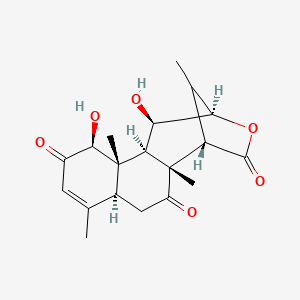 molecular formula C19H24O6 B8087315 (1S,2R,5S,9S,10S,11R,12R,13R)-9,12-dihydroxy-2,6,10,16-tetramethyl-14-oxatetracyclo[11.2.1.02,11.05,10]hexadec-6-ene-3,8,15-trione 