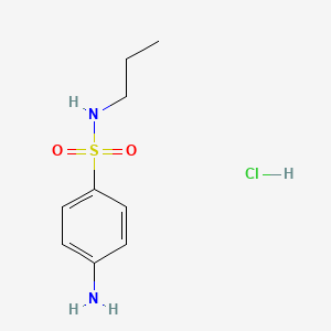 molecular formula C9H15ClN2O2S B8087731 4-amino-N-propylbenzenesulfonamide;hydrochloride 