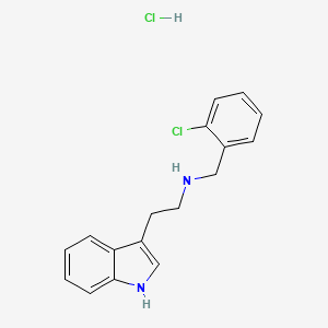 molecular formula C17H18Cl2N2 B8087739 N-(2-Chlorobenzyl)-2-(1H-indol-3-yl)ethanamine (HCl) 