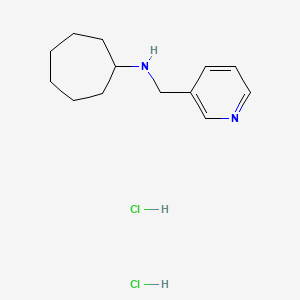 molecular formula C13H22Cl2N2 B8087776 N-(pyridin-3-ylmethyl)cycloheptanamine;dihydrochloride 