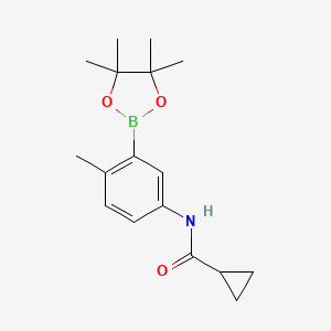 molecular formula C17H24BNO3 B8087903 N-(4-methyl-3-(4,4,5,5-tetramethyl-1,3,2-dioxaborolan-2-yl)phenyl)cyclopropanecarboxamide 