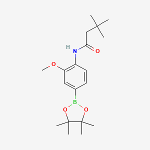 molecular formula C19H30BNO4 B8087911 N-(2-methoxy-4-(4,4,5,5-tetramethyl-1,3,2-dioxaborolan-2-yl)phenyl)-3,3-dimethylbutanamide 