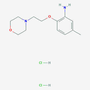 molecular formula C13H22Cl2N2O2 B8088672 5-Methyl-2-[2-(morpholin-4-yl)ethoxy]aniline (2HCl) 