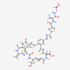 molecular formula C48H49N13O10S6 B8088759 44-O-DeMethylthiocillin II 