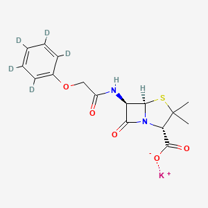 molecular formula C16H17KN2O5S B8088790 Penicillin V-d5 (potassium salt) 