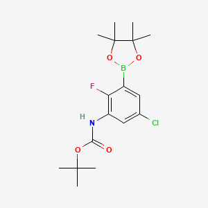 molecular formula C17H24BClFNO4 B8089359 tert-Butyl (5-chloro-2-fluoro-3-(4,4,5,5-tetramethyl-1,3,2-dioxaborolan-2-yl)phenyl)carbamate 