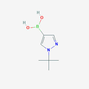 molecular formula C7H13BN2O2 B8089998 (1-(tert-Butyl)-1H-pyrazol-4-yl)boronic acid 