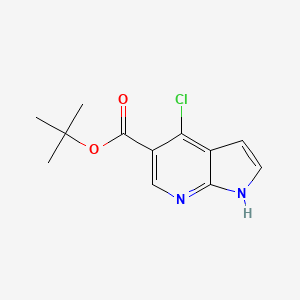 molecular formula C12H13ClN2O2 B8091248 tert-butyl 4-chloro-1H-pyrrolo[2,3-b]pyridine-5-carboxylate 