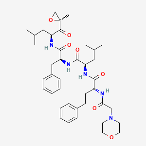 molecular formula C40H57N5O7 B8091394 (R)-4-methyl-N-((S)-1-(((S)-4-methyl-1-((S)-2-methyloxiran-2-yl)-1-oxopentan-2-yl)amino)-1-oxo-3-phenylpropan-2-yl)-2-((R)-2-(2-morpholinoacetamido)-4-phenylbutanamido)pentanamide 