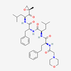 molecular formula C40H57N5O7 B8091397 (R)-4-Methyl-N-((R)-1-(((S)-4-Methyl-1-((R)-2-Methyloxiran-2-yl)-1-oxopentan-2-yl)aMino)-1-oxo-3-phenylpropan-2-yl)-2-((S)-2-(2-MorpholinoacetaMido)-4-phenylbutanaMido)pentanaMide 