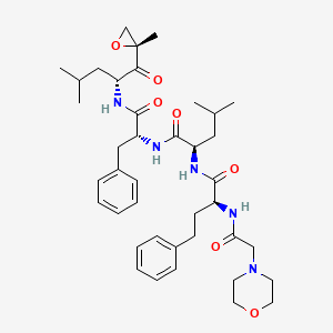 molecular formula C40H57N5O7 B8091405 (R)-4-methyl-N-((R)-1-(((R)-4-methyl-1-((R)-2-methyloxiran-2-yl)-1-oxopentan-2-yl)amino)-1-oxo-3-phenylpropan-2-yl)-2-((S)-2-(2-morpholinoacetamido)-4-phenylbutanamido)pentanamide 