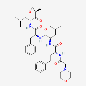 molecular formula C40H57N5O7 B8091415 (R)-4-methyl-N-((S)-1-(((R)-4-methyl-1-((R)-2-methyloxiran-2-yl)-1-oxopentan-2-yl)amino)-1-oxo-3-phenylpropan-2-yl)-2-((R)-2-(2-morpholinoacetamido)-4-phenylbutanamido)pentanamide 