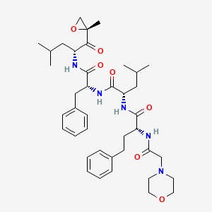 molecular formula C40H57N5O7 B8091421 (S)-4-methyl-N-((R)-1-(((R)-4-methyl-1-((R)-2-methyloxiran-2-yl)-1-oxopentan-2-yl)amino)-1-oxo-3-phenylpropan-2-yl)-2-((R)-2-(2-morpholinoacetamido)-4-phenylbutanamido)pentanamide 