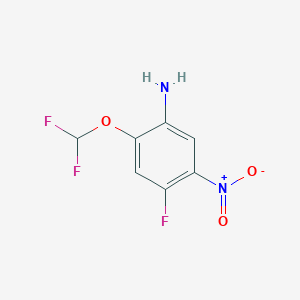 molecular formula C7H5F3N2O3 B8091809 2-(Difluoromethoxy)-4-fluoro-5-nitroaniline 