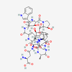 molecular formula C59H77N13O19 B8091901 (2S)-2-amino-4-[[(2S)-1-[[(9Z,12S,13S,21S,27S,28R,31S,32R)-13,32-dihydroxy-24-[(1S)-1-hydroxyethyl]-3-[(1S)-1-hydroxy-2-methylpropyl]-6-[1-(1H-indol-3-yl)ethyl]-9-(1H-indol-3-ylmethylidene)-21,28-dimethyl-2,5,8,11,17,20,23,26,30-nonaoxo-29-oxa-1,4,7,10,16,19,22,25-octazatricyclo[29.3.0.012,16]tetratriacontan-27-yl]amino]-3-hydroxy-1-oxopropan-2-yl]amino]-4-oxobutanoic acid 