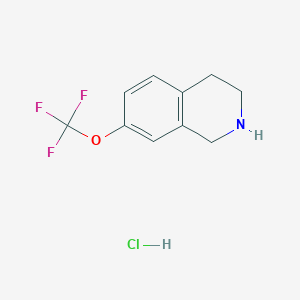 molecular formula C10H11ClF3NO B8092211 7-(Trifluoromethoxy)-1,2,3,4-tetrahydroisoquinoline hydrochloride 