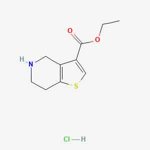 Ethyl 4,5,6,7-tetrahydrothieno[3,2-c]pyridine-3-carboxylate hydrochloride