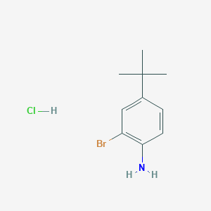 molecular formula C10H15BrClN B8094059 2-Bromo-4-tert-butyl aniline hydrochloride 