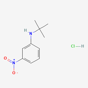 molecular formula C10H15ClN2O2 B8094079 N-tert-butyl-3-nitroaniline;hydrochloride 
