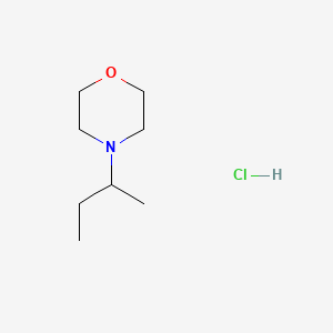 molecular formula C8H18ClNO B8094574 4-Butan-2-ylmorpholine;hydrochloride 