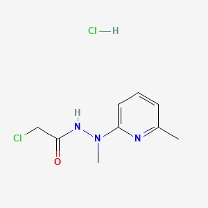 molecular formula C9H13Cl2N3O B8094867 2-chloro-N'-methyl-N'-(6-methylpyridin-2-yl)acetohydrazide;hydrochloride 