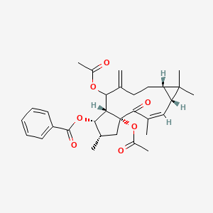 molecular formula C31H38O7 B8095303 [(1R,3Z,5R,7S,12R,13S,14S)-1,11-diacetyloxy-3,6,6,14-tetramethyl-10-methylidene-2-oxo-13-tricyclo[10.3.0.05,7]pentadec-3-enyl] benzoate 