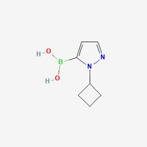 molecular formula C7H11BN2O2 B8095674 (1-Cyclobutyl-1H-pyrazol-5-yl)boronic acid 