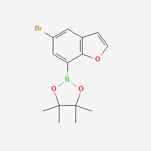 molecular formula C14H16BBrO3 B8095831 5-Bromobenzofuran-7-boronicacid,pinacolester 