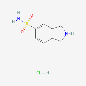 molecular formula C8H11ClN2O2S B8095877 2,3-dihydro-1H-isoindole-5-sulfonic acid amide hydrochloride 