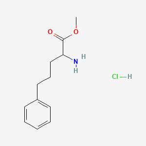 molecular formula C12H18ClNO2 B8096084 Methyl 2-amino-5-phenylpentanoate HCl 